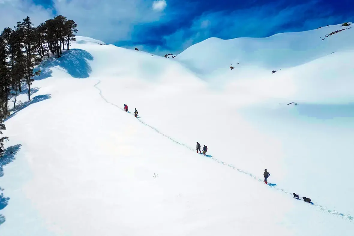 Kuari Pass Trek – Uttarakhand