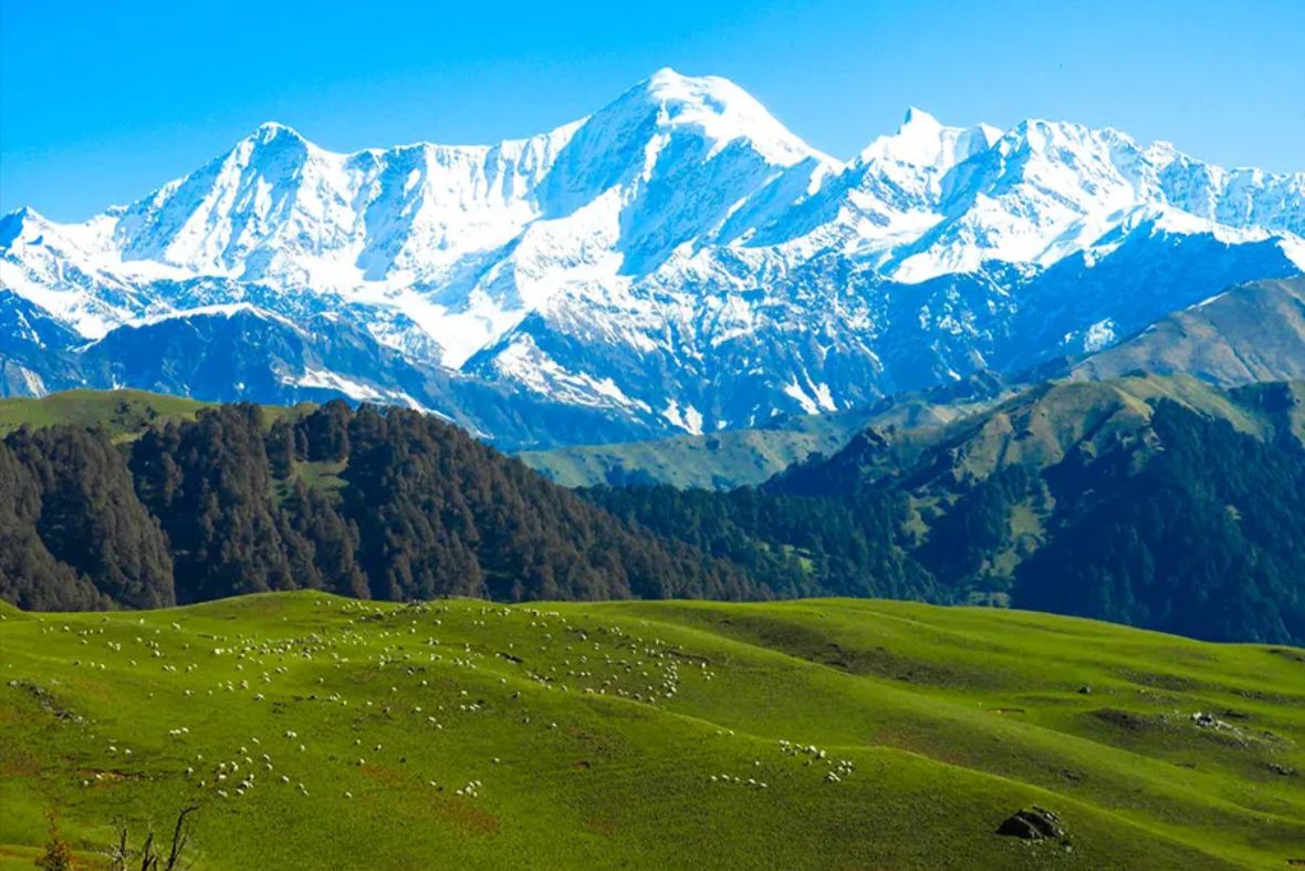 Dayara Bugyal Trek